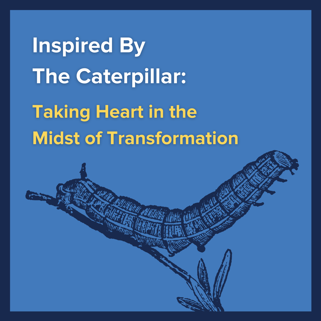 Inspired By The Caterpillar: Taking Heart in the Midst of Transformation